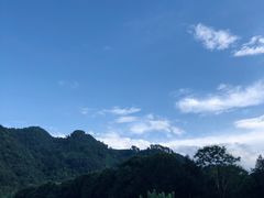 -野蔓果·山野菜(西湖景区·龙井茶田店)