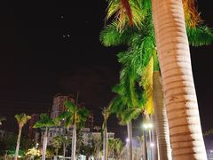 -金鸡岭桥头公园