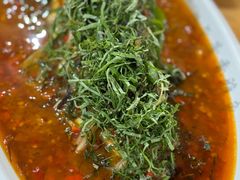 -老字号怡玺·藿香雅鱼(20年雅安店)