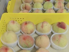 -老袁家蜜桃农场·阳山水蜜桃