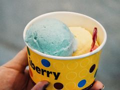 -莓园冰淇淋店