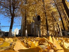 -辽宁大学(崇山校区)