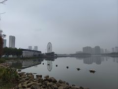 -飞来湖湿地公园