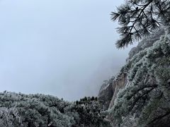 -黄山风景区
