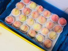 -老袁家蜜桃农场·阳山水蜜桃