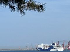 -悦海公园