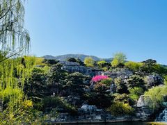 -北京西山国家森林公园