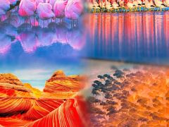 -罗红摄影艺术馆