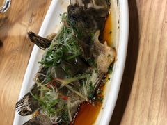 清蒸石斑鱼-南海渔家•海鲜•正宗海南菜(海棠湾店)