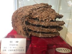 -上海昆虫博物馆