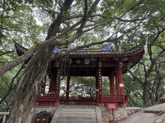 -乌山风景区