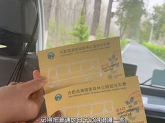 -合肥滨湖国家森林公园