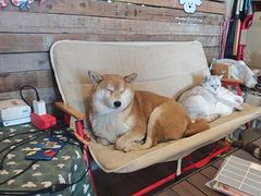 -小时光咖啡馆(开森度假森林店)