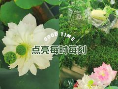 -上海植物园-4号门售票处