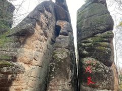 -汤旺河林海奇石景区