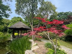 -上海滨江森林公园