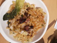 煲仔饭-旺小胖小龙虾
