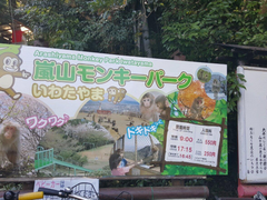 -岚山猴子公园