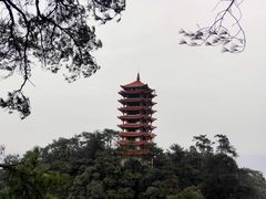 -缙云山景区