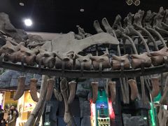 -吉林省自然博物馆