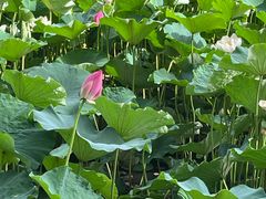 -廊坊文化艺术中心