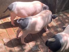 -开元溶洞
