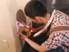 -东京塔海贼王主题公园