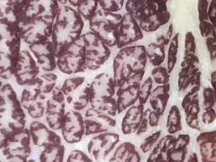 -阿欢牛肉店·火锅·粿条面