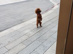 -恩宁刘福记(东华东路店)