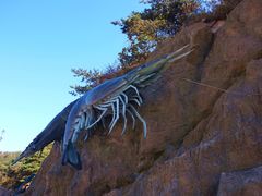 -棒棰岛宾馆景区