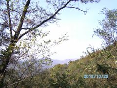 -鲁山国家森林公园