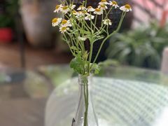 -T館·花园艺术餐厅