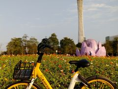 -二沙岛艺术公园