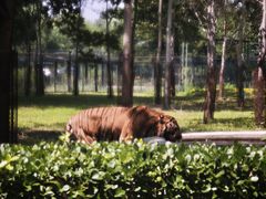 -秦皇岛野生动物园