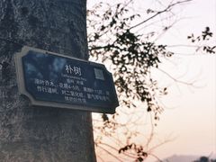 -江心屿景区