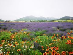 -西海岸生态观光园
