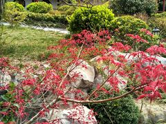 -贮水山儿童公园