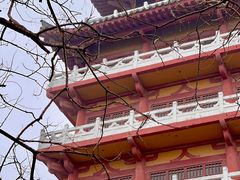 -思念果岭悦温泉