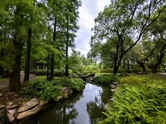 -上海共青森林公园