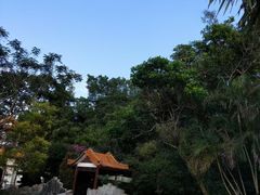 -深圳仙湖植物园
