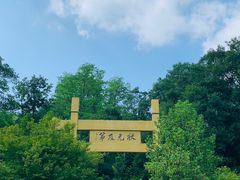 -老山国家森林公园