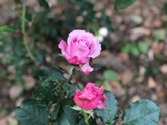 -苏州河梦清园环保主题公园