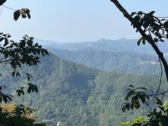 -黄埔油麻山森林公园