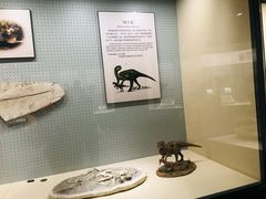 -辽宁古生物博物馆