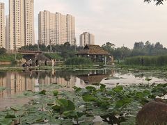 -前关湿地公园