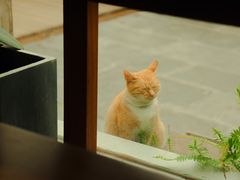 -知亘茶食