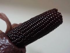 -潮汕良记牛肉火锅(洪武路店)