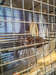 -酷嗒动物文化乐园(cutezoo西溪乐天城店)