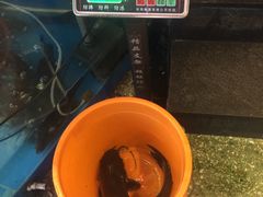 -粗粮人家·东北菜(洋桥店)