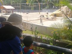 -广东茂名森林公园